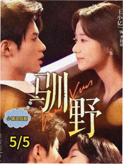 无声证词